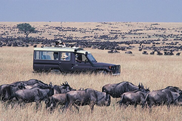 8 day unique comfort adventure in kenya
